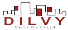 Dilvy Logo